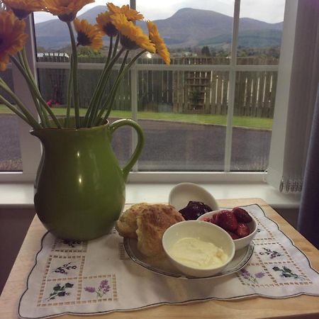 Maghera Oran Beag House住宿加早餐旅馆 外观 照片