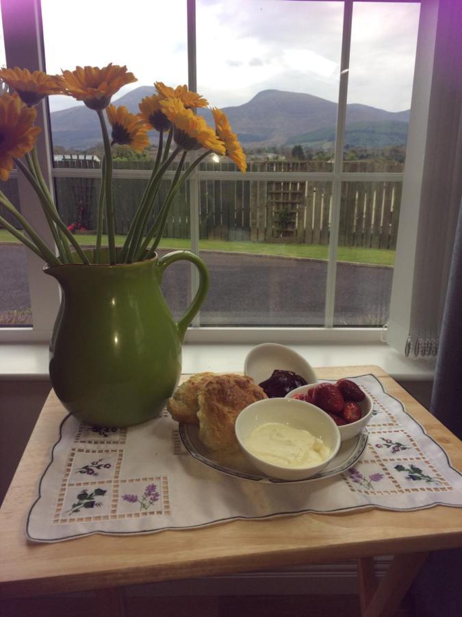 Maghera Oran Beag House住宿加早餐旅馆 外观 照片